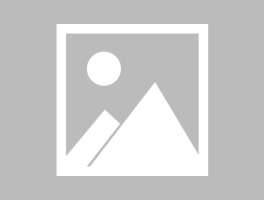 美丽的天鹅作文汇编15篇（精选5篇）